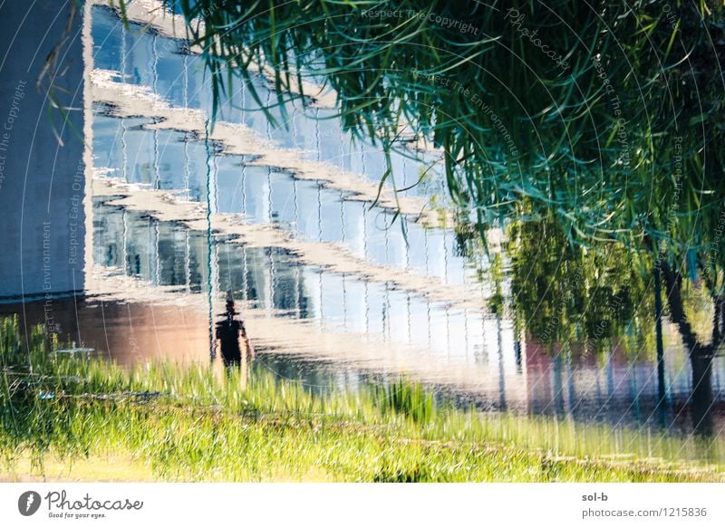 rvrbnk Büroarbeit Mensch Mann Erwachsene 1 Natur Wasser Baum Gras Flussufer Stadt Gebäude natürlich grün Wasserspiegelung verdreht Rippeln