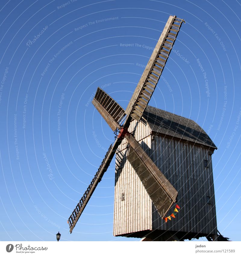 Mühle blau Windmühle Holz himmelblau azurblau Propeller rotieren Brandenburg Wahrzeichen Denkmal historisch Himmel alt Schönes Wetter Rotor mühlenverein