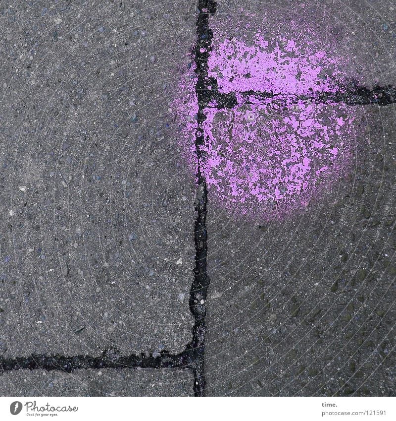 Berauschter Pudel, stramm stehend Bürgersteig Beton getrocknet Ecke 3 Fuge Verkehrswege Kunst Kultur Stein Mineralien Farbe dunkelrosa Kontrast Steinbild