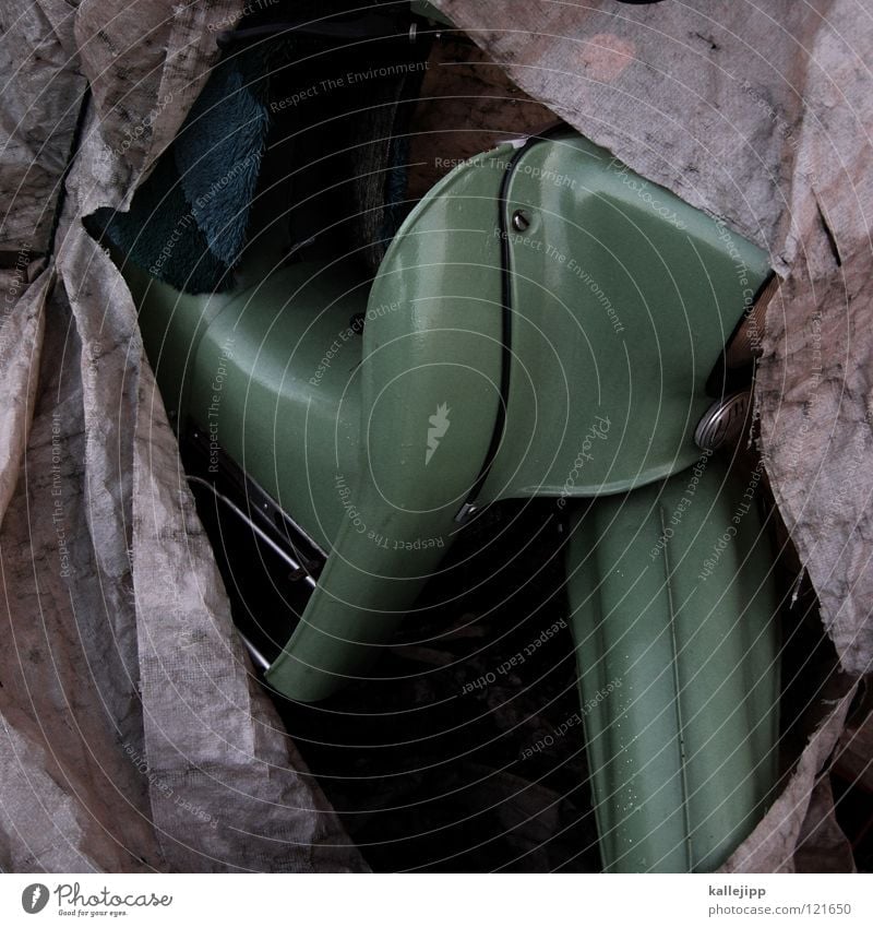 frühlingsbote Elefant Umhang Tunnel Einfahrt Haus dunkel Abdeckung Rostschutzfarbe Backstein Ständer Garage verrotten überwintern schlafen Gebrauchtwagen