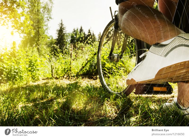 Auf geht's in die Natur Lifestyle Tourismus Ausflug Sommer Sport Fahrradfahren Mensch Pflanze Wiese Wald frei Freundlichkeit Freude Begeisterung Euphorie Kraft