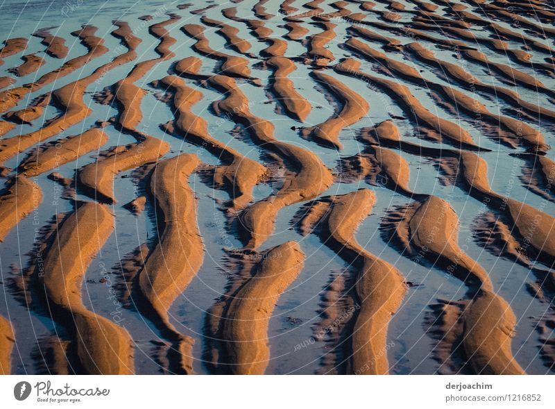 Tiden. Das ablaufendes Meerwasser am Strand von Queensland.Große Spurrillen. Ostküste. Australia. Freude harmonisch Sommer Natur Sand Wasser Schönes Wetter