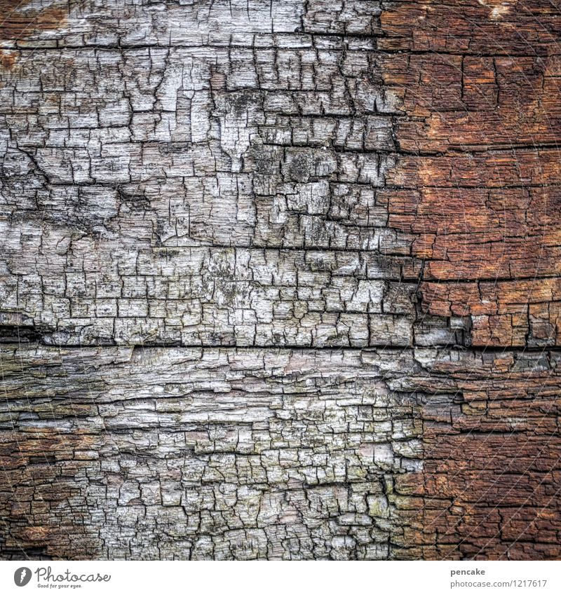 spreedorado | fließend Kasten Holz Wasser Zeichen Ornament Graffiti Linie Streifen alt authentisch trocken einzigartig Fass Gurke Spreewald Landkarte Kanal