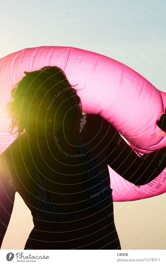 Pink Sundown II/III Freude Ferien & Urlaub & Reisen Mensch feminin Junge Frau Jugendliche Erwachsene 1 rund rosa Fröhlichkeit Lebensfreude Oberkörper