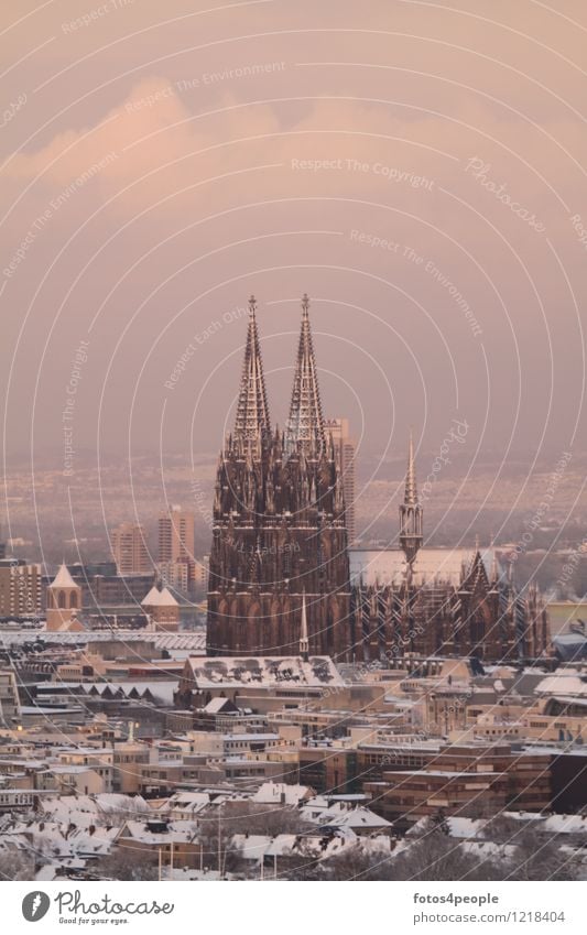 Kölner Domspitzen schneebedeckt Stadt Stadtzentrum Skyline Kirche Sehenswürdigkeit Wahrzeichen Denkmal Bekanntheit dunkel historisch einzigartig