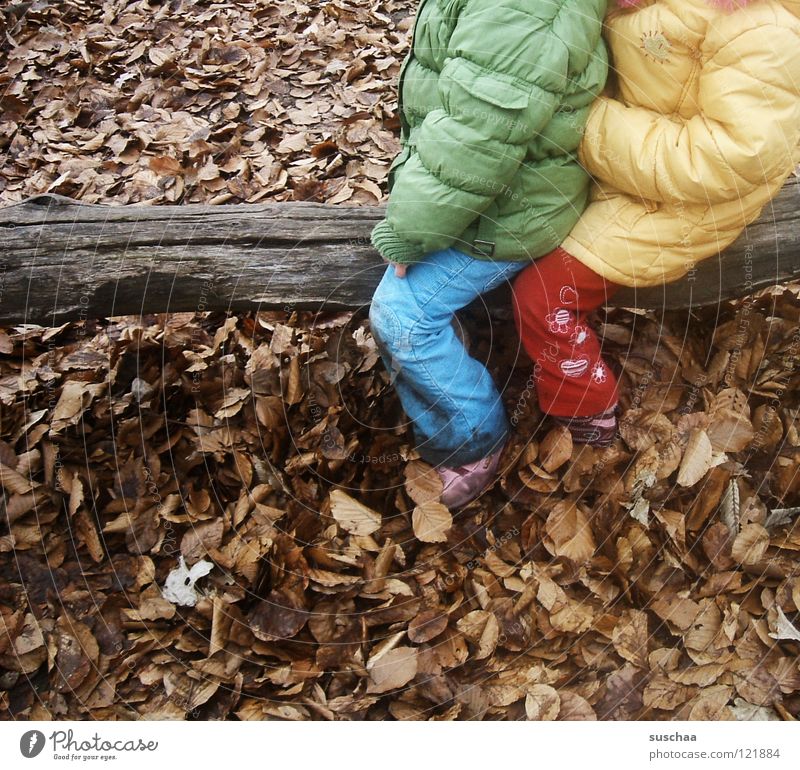 gestern auf dem spielplatz .. Kind Spielen toben Spielplatz kalt Blatt Januar Februar Baumstamm Holz mehrfarbig Hose Jacke Anorak Freude Bekleidung sitzen