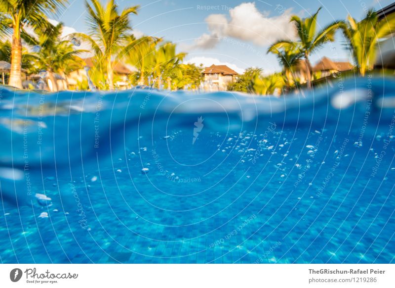 Wellen Schlagen Wasser Wassertropfen blau gelb gold grün schwarz weiß Schwimmbad Muster Strukturen & Formen Chlor Palme Ferienanlage Ferien & Urlaub & Reisen