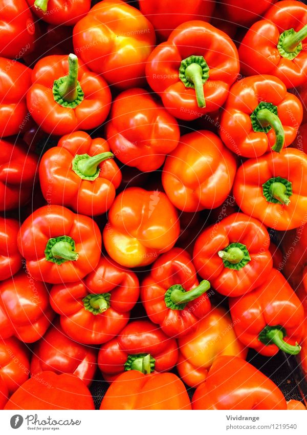 Rote und grüne Paprika Lebensmittel Milcherzeugnisse Gemüse Bioprodukte Vegetarische Ernährung Diät Wellness Nutzpflanze frisch Gesundheit hell natürlich orange
