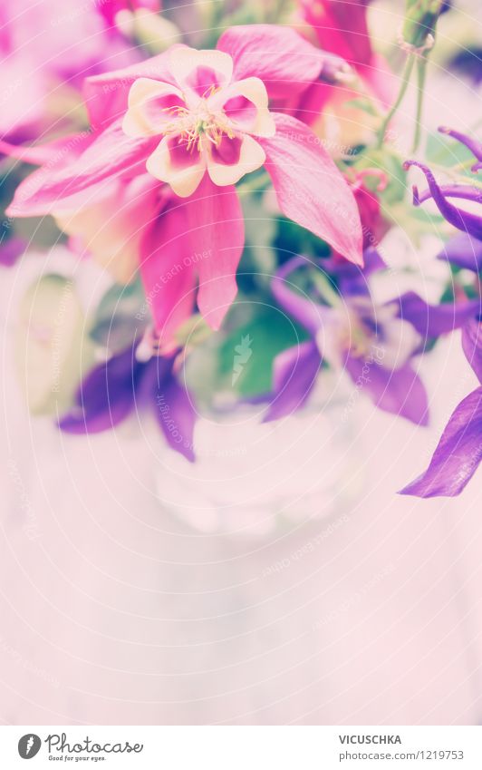 Garten Blumen im Glas Lifestyle Stil Design Feste & Feiern Natur Pflanze Blatt Blüte Blumenstrauß rosa Duft Hintergrundbild Vase Tisch Romantik Postkarte