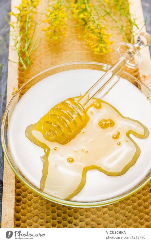 Raps Honig auf Waben Lebensmittel Dessert Süßwaren Ernährung Bioprodukte Vegetarische Ernährung Diät Teller Löffel Lifestyle Stil Design Alternativmedizin