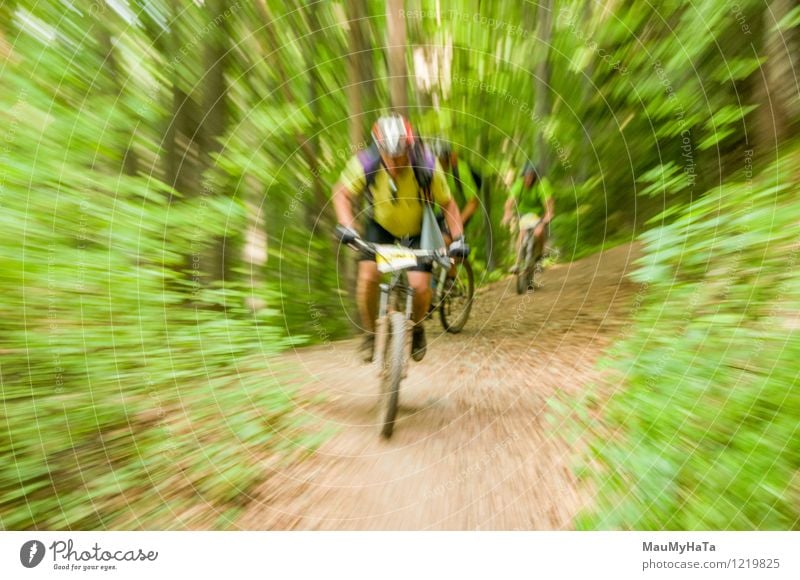Radfahrer fahren Freude Erholung Freizeit & Hobby Abenteuer Sommer Berge u. Gebirge Fahrradfahren Mann Erwachsene Baum Hügel Felsen Wege & Pfade Fitness Reiter