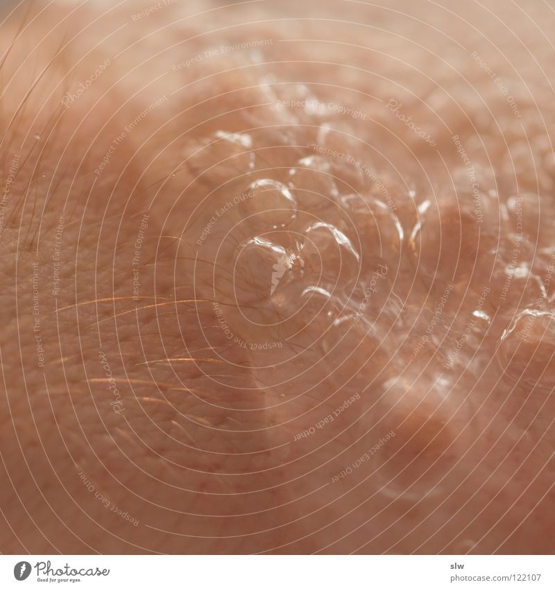 kaltes Nass Physik nass sprudelnd Flüssigkeit Makroaufnahme Nahaufnahme Haut Haare & Frisuren Wasser Wärme Blase
