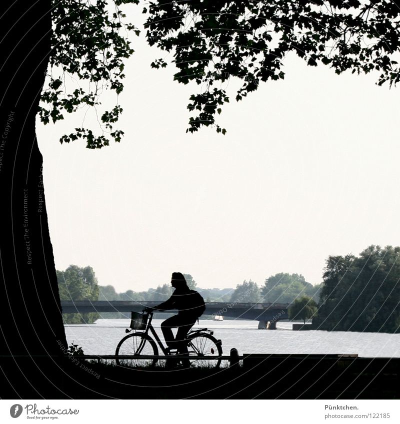 Münsteraner Eingeborene Fahrrad Frau Freizeit & Hobby Blatt Baum See dunkel Speichen Zaun Sommer Wochenende Brückenpfeiler Kontrast Aasee Baumstamm Wasser
