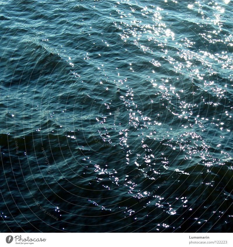 Strömung Leben Meer Wellen Wissenschaften Energiewirtschaft Umwelt Natur Wasser See Fluss Bewegung glänzend nass Kraft geheimnisvoll Wandel & Veränderung