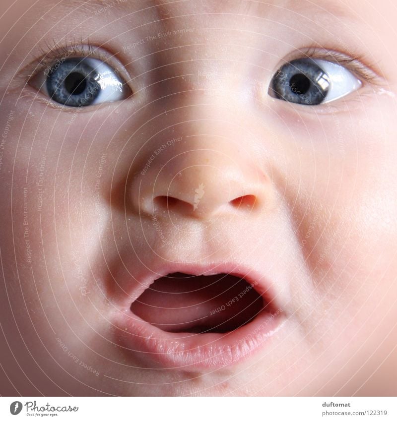 Monsterbacke Freude Haut Gesicht Übergewicht Kindererziehung Kindergarten Baby Kleinkind Kopf Auge Mund dick frech Freundlichkeit Interesse Appetit & Hunger