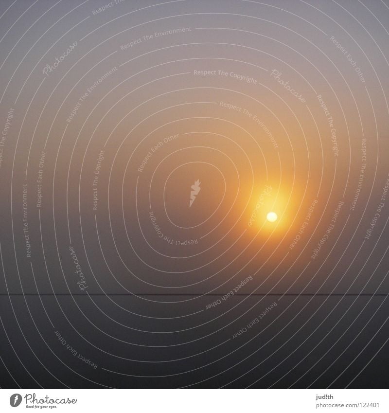 Morgennebel Sonnenaufgang Sonnenuntergang Nebel grau Licht Elektrizität Horizont Linie schwarz Sommer Neuanfang Sonnenstrahlen rund Himmelskörper & Weltall