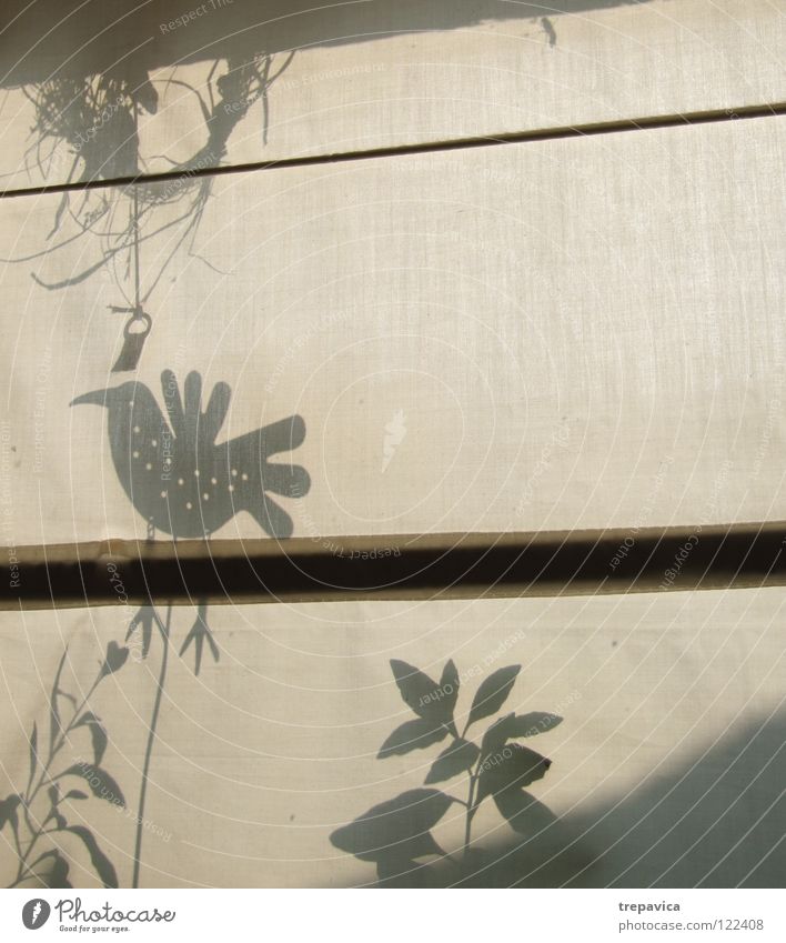 schatten Vogel Fenster Pflanze Licht Stoff Frühling Schattenspiel Vorhang springen zart Wiese Gardine Textilien Blatt Dekoration & Verzierung Kontrast