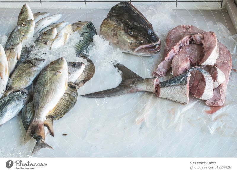 Fisch auf Eis auf dem Markt Fleisch Meeresfrüchte kaufen Industrie Tier verkaufen frisch lecker Bass Lebensmittel gefroren Gesundheit Fischen roh kalt Lager