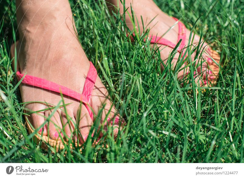 Füße auf der grünen Wiese Lifestyle Freude schön Erholung Freizeit & Hobby Freiheit Sommer Garten Mensch Mädchen Frau Erwachsene Fuß Umwelt Natur Blume Gras
