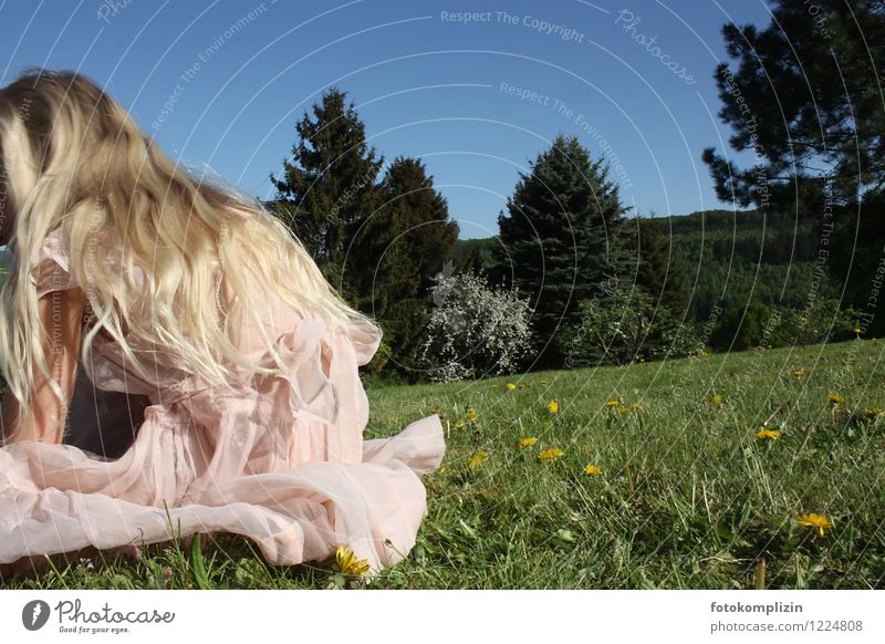 blondes Mädchen im rosa Sommerkleid auf einer Wiese Kindheit blondes Haar hübsch zart Blühend entdecken Romantik mädchenhaft hocken schön feminin Reinheit