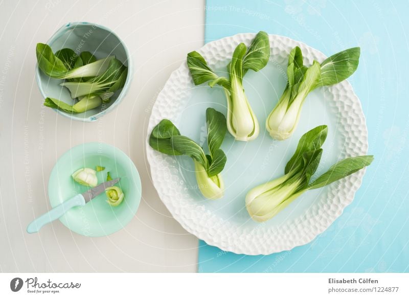 Pak Choi Lebensmittel Gemüse Bioprodukte Vegetarische Ernährung Teller Schalen & Schüsseln Messer Gesunde Ernährung frisch Gesundheit blau grün türkis genießen