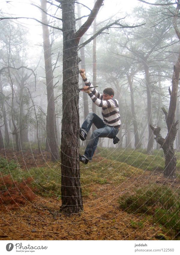 abenteuerlust ;) Wald Nebel hängen Wildnis gestreift Baum Herbst festhalten stark Abenteuer Freude Jugendliche Typ Dynamik imponieren Natur Klettern sportlich