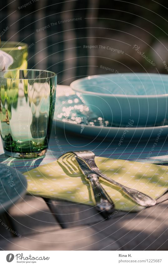 Gedeckt Geschirr Teller Schalen & Schüsseln Glas Messer Gabel Sommer Schönes Wetter Garten authentisch genießen Holztisch Außenaufnahme Farbfoto