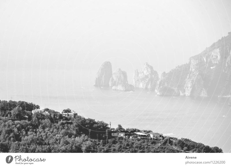 schlechte Fernsicht Landschaft Urelemente Luft Wasser Nebel Felsen Küste Meer Insel Capri Klippe Ferne hell schwarz weiß Fernweh Dunst Schwarzweißfoto