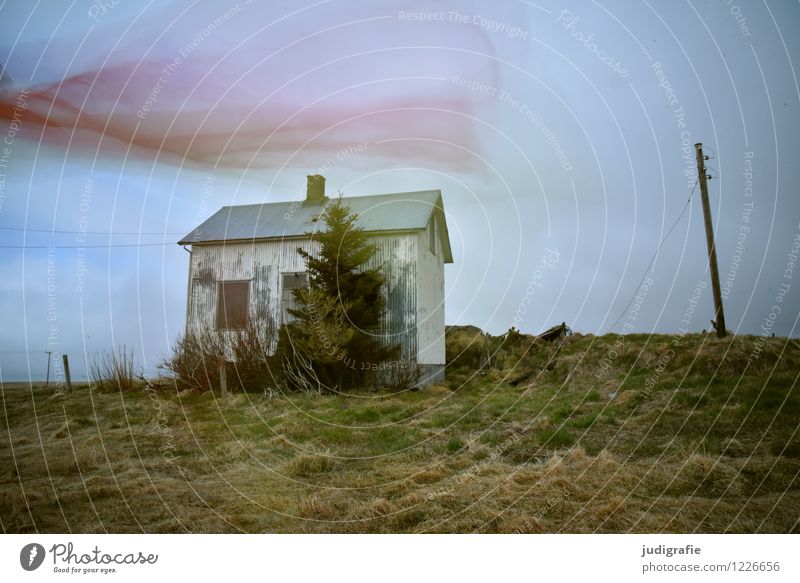 Island Umwelt Natur Landschaft Haus Hütte Ruine Bewegung Tanzen außergewöhnlich dunkel natürlich Stimmung Einsamkeit einzigartig Vergänglichkeit