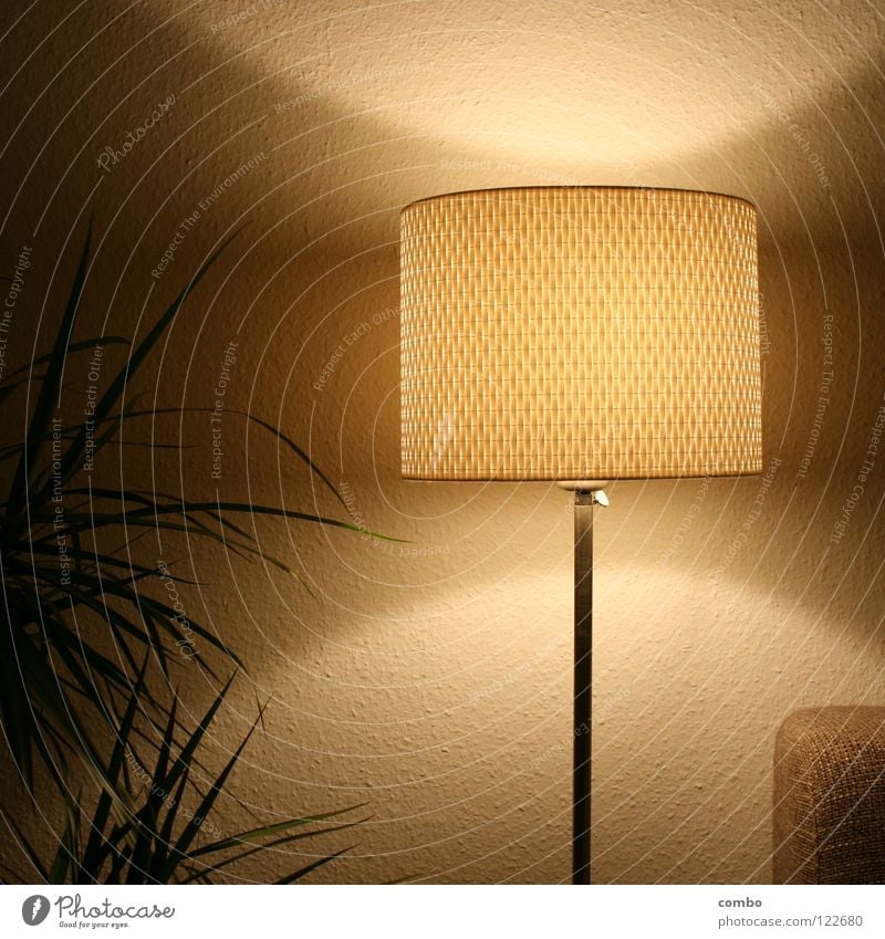 Retrolampe im Wohnzimmer Pflanze grün Blatt Lampe Stehlampe Lampenschirm retro Design Schatten Licht Oval Physik Sofa Stoff grau Tapete Raufasertapete weiß