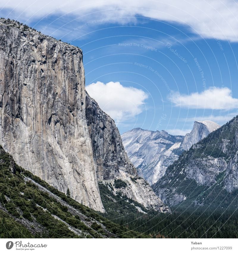 Yosemite Tunnel Zoom Ferien & Urlaub & Reisen Sightseeing Camping Sommer Berge u. Gebirge wandern Landschaft Dürre Wald Hügel Felsen Gletscher Schlucht groß