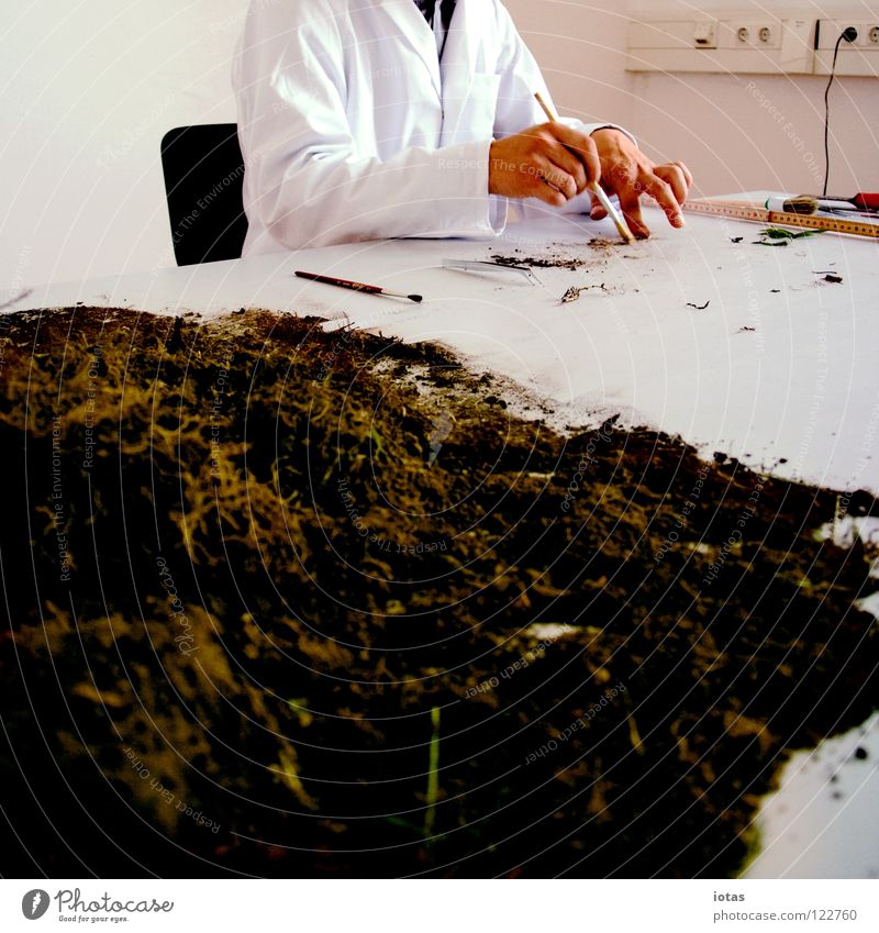 . Hand forschen Labor Kittel Wissenschaftler Wissenschaften untersuchen Pinsel berühren Tisch Mann maskulin Kunst Kunsthandwerk Dienstleistungsgewerbe