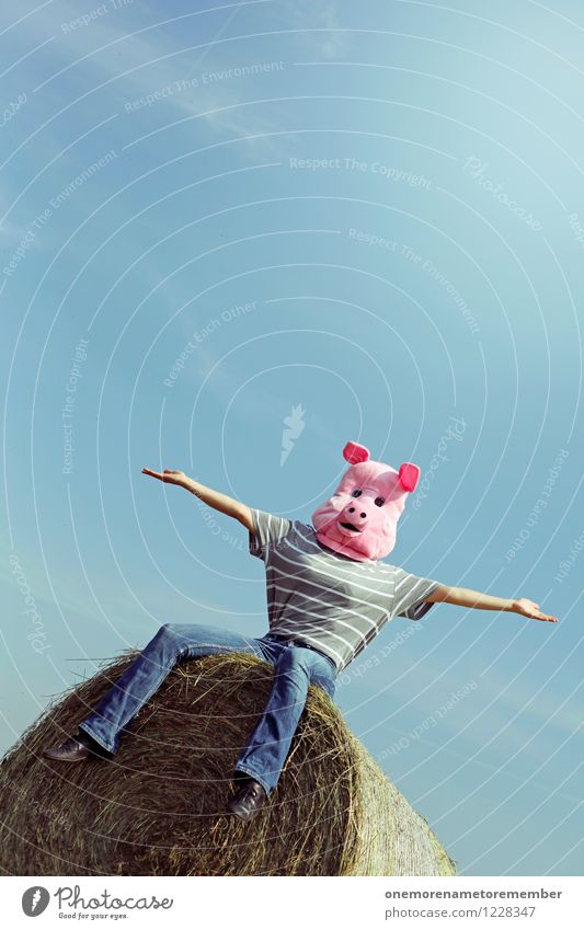 Schweinekopp! Kunst Kunstwerk ästhetisch Schweineohr Schweinefleisch Schweinerei Schweinekopf Schweinschnauze Maske Kostüm Karnevalskostüm rosa Freude spaßig