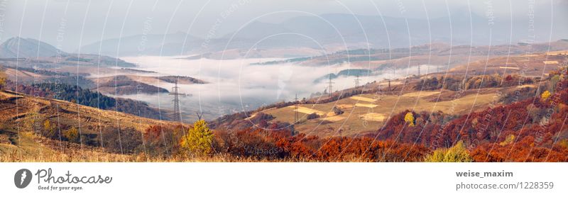 Karpatenpanorama Natur Landschaft Himmel Herbst Wetter Nebel Baum Sträucher Feld Wald Hügel Berge u. Gebirge Dorf Kleinstadt Stein Sand Holz Metall Wasser