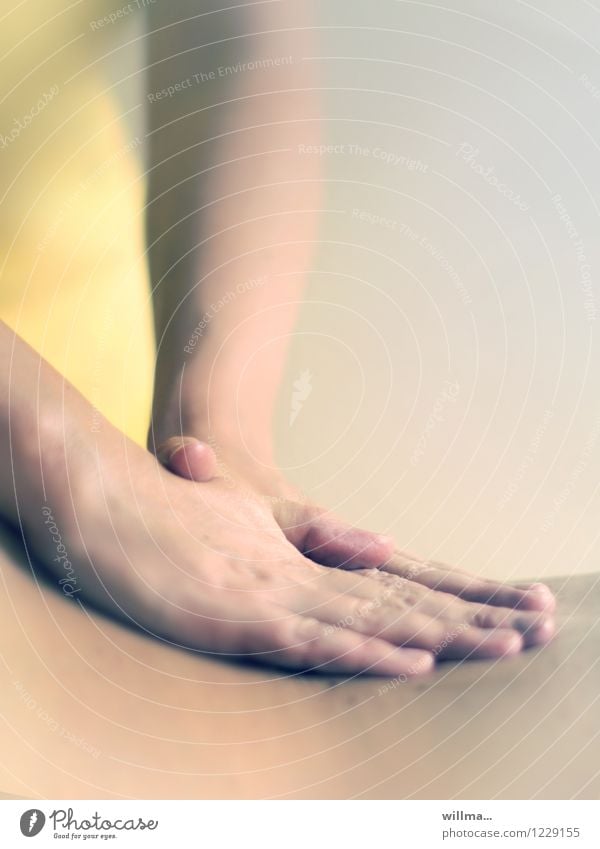 Rückenmassage in der Physiotherapie Gesundheit Behandlung Alternativmedizin Wellness Erholung Massage Therapeut Gesundheitswesen Hand Schmerz sanft