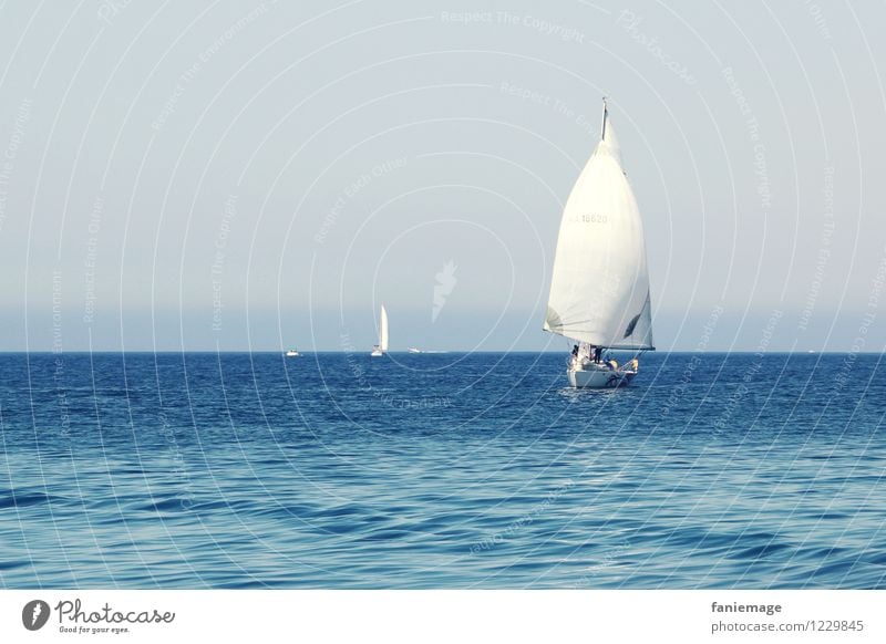Segel Segeln fahren Segelboot Marseille Mistral Wind Mittelmeer Südfrankreich Wellengang Blauer Himmel blau Reisefotografie Segelschiff Sport Wassersport