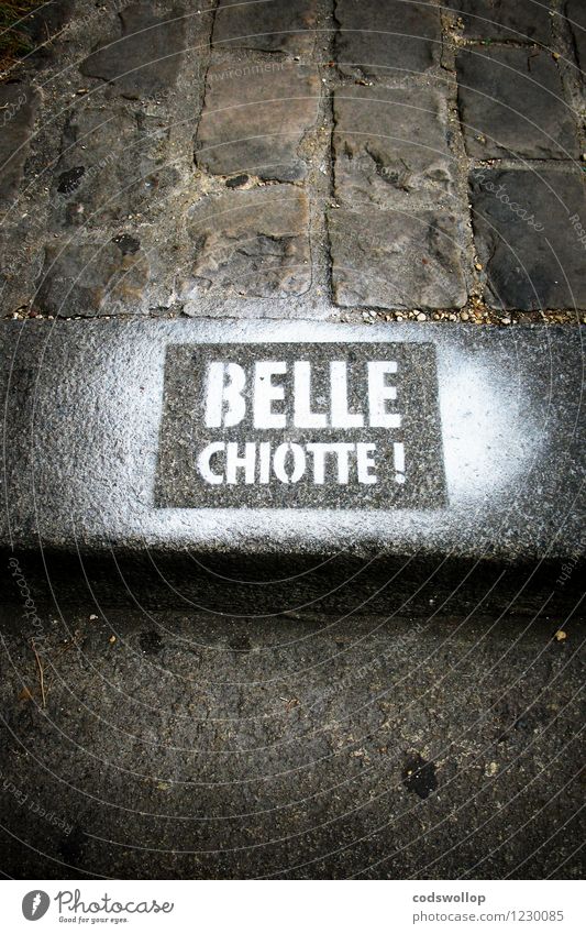 la rue des chiottes Schriftzeichen Graffiti Stadt Bordsteinkante Französisch Paris Kopfsteinpflaster Gedeckte Farben Außenaufnahme Textfreiraum oben