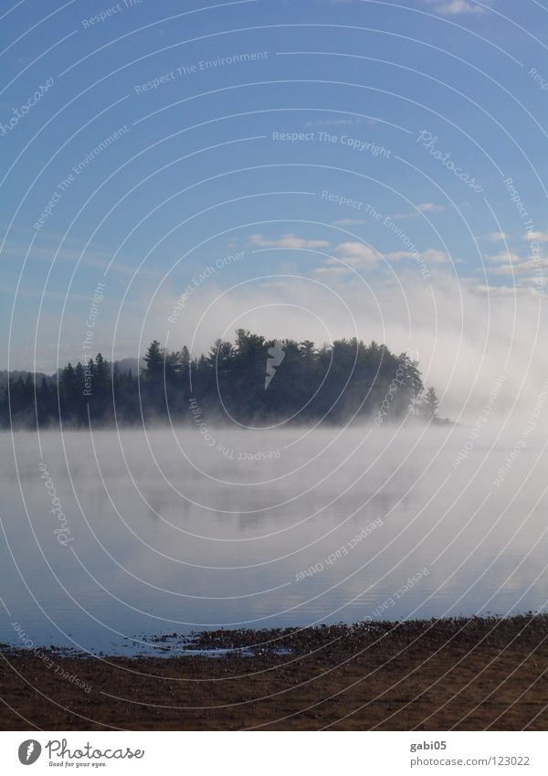 Morgennebel Nebel See Glätte Erholung Natur Küste Wasser naturpur