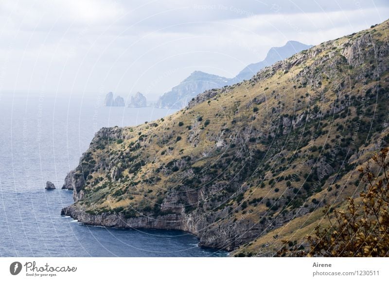 Land in Sicht Natur Landschaft Himmel Sträucher Macchia Felsen Küste Insel Capri Naturschutzgebiet Italien heiß hell maritim natürlich blau braun Ausdauer