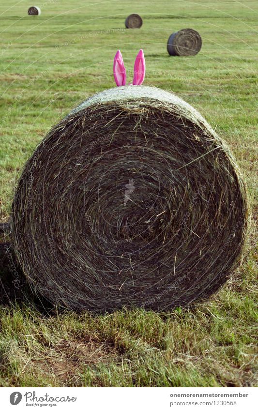 OsterHase? Kunst ästhetisch verstecken Hasenohren Ostern Osternest rosa markant Anfänger Strohballen Ohr Wiese Außenaufnahme Natur lustig Farbfoto mehrfarbig