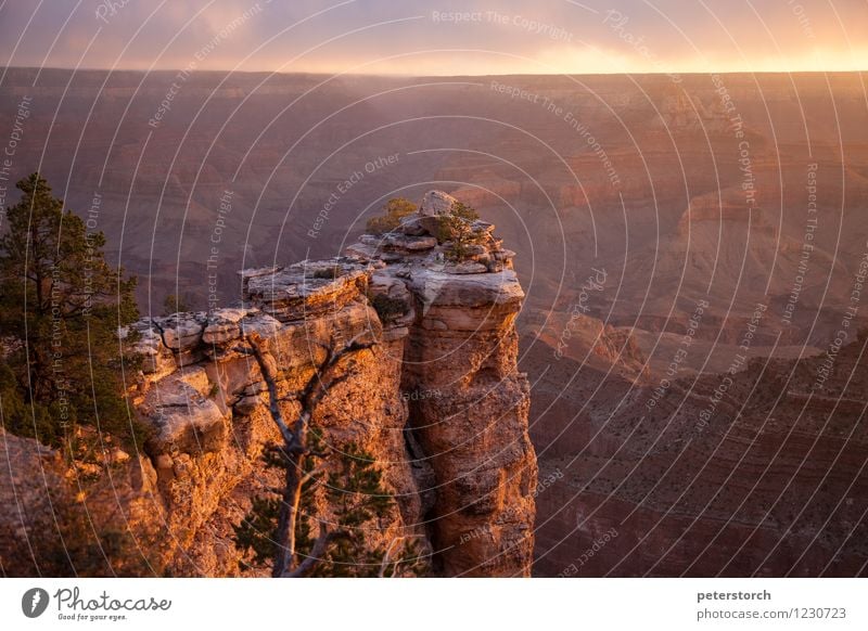 atemberaubend Ferien & Urlaub & Reisen Ferne Landschaft Felsen Schlucht Grand Canyon ästhetisch außergewöhnlich fantastisch Stimmung Abenteuer Farbe Horizont