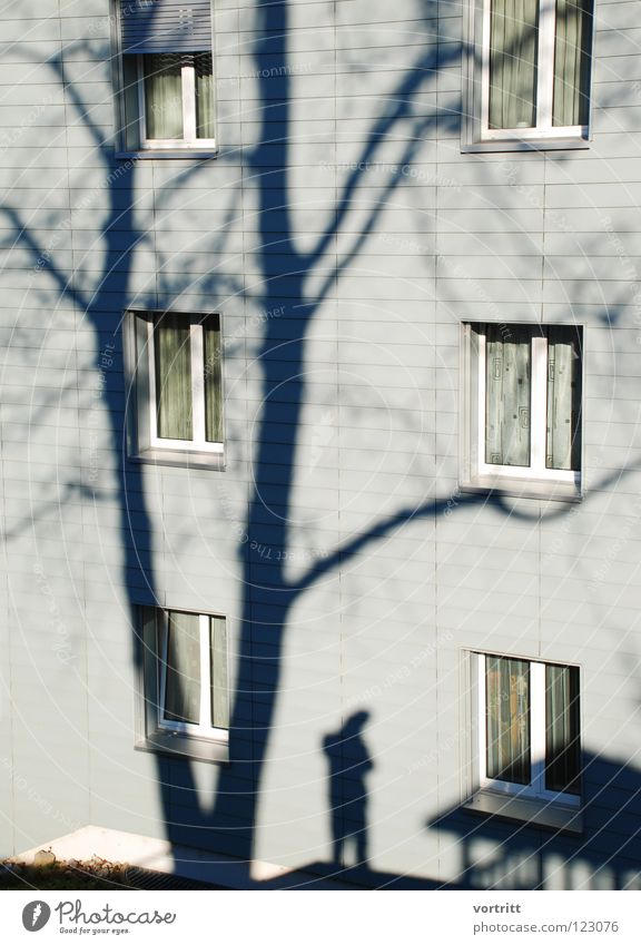signifikat Haus bezeichnend Fenster Fotograf Winter Baum Etage Vorhang Stadtteil Stimmung Schatten Selbstportrait bezeichnete Häusliches Leben Glas Ast