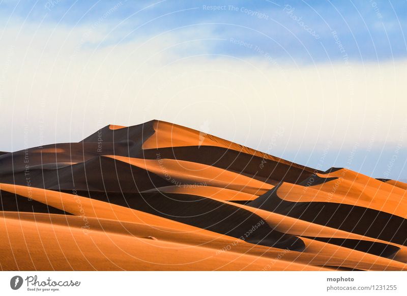 Schöne Kurven #3 Ferien & Urlaub & Reisen Tourismus Ferne Expedition Umwelt Natur Landschaft Urelemente Erde Sand Himmel Wolken Wind Wärme Wüste Namib