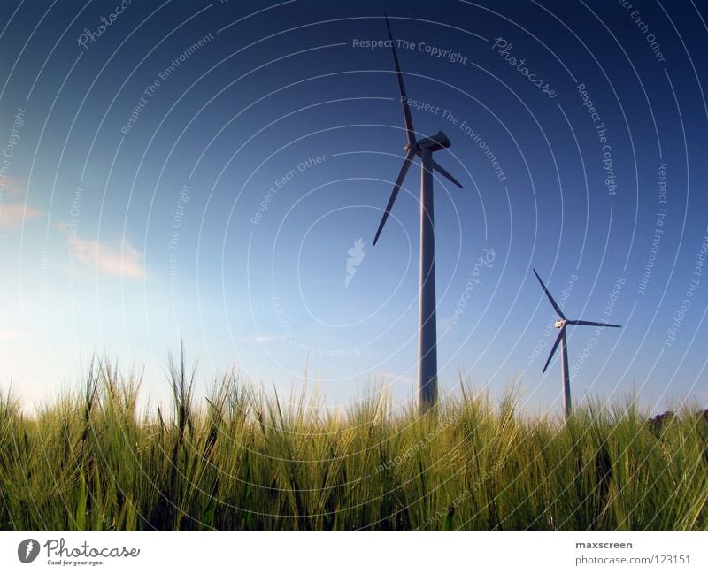 Windenergie Wissenschaften Industrie Energiewirtschaft High-Tech Erneuerbare Energie Windkraftanlage Umwelt Natur Landschaft Himmel Klima Klimawandel Wiese