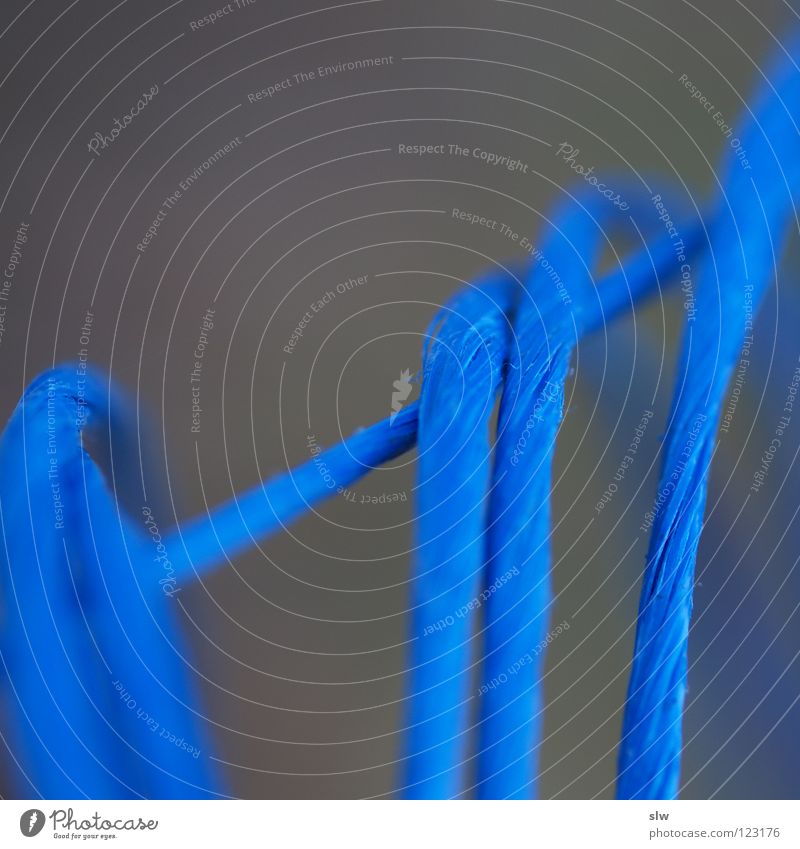 Der blaue Faden grau blau-grau Leitfaden Seil Unschärfe Makroaufnahme Nahaufnahme Schnur Nähgarn Nervosität Knoten