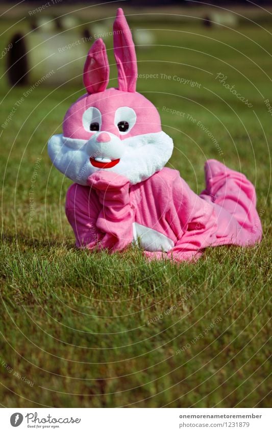 Sonnenhase Kunst verträumt China rosa Hase & Kaninchen Karnevalskostüm Wiese Sonnenbad Erotik Freude verkleidet Farbfoto mehrfarbig Außenaufnahme Experiment