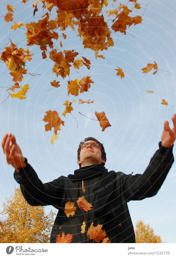 hoch hinaus Freude Glück Leben Zufriedenheit Freiheit Mensch Mann Erwachsene Natur Herbst Schönes Wetter Blatt fliegen genießen werfen frei Fröhlichkeit frisch