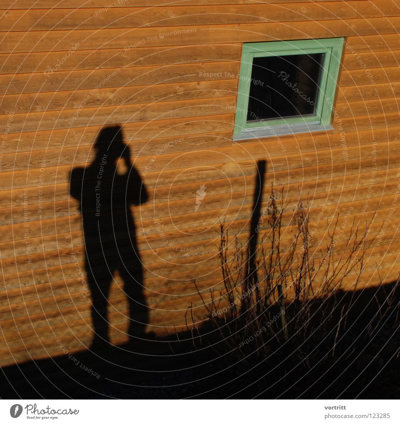 spion Haus Fenster Sträucher Fotograf spionieren reduzieren sehr wenige Holz Wand Selbstportrait Mann Winter Schatten hag Farbe Blick Voyeurismus Mensch
