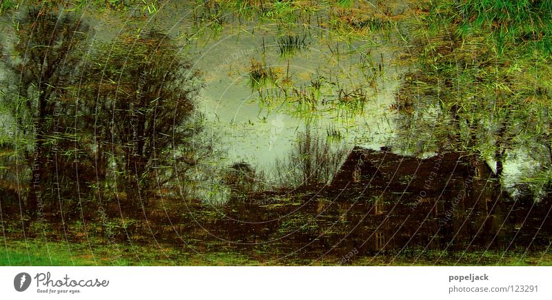 Impressionistische Wiesenmalerei Haus Baum Gras nass Sumpf Moor Halm kalt Wasser Bild streichen Flut Regen Wetter