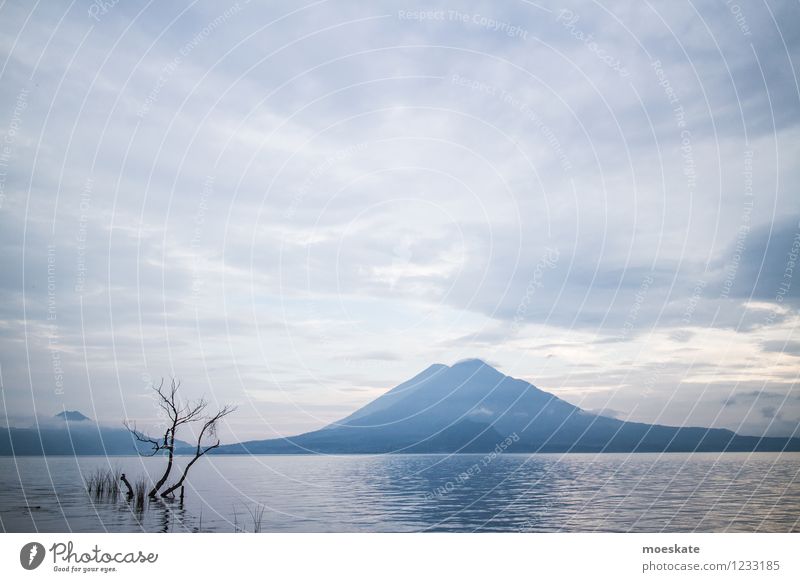 Atitlansee - Guatemala Umwelt Natur Landschaft Urelemente Wasser Himmel Wolken Horizont Sommer Baum Vulkan Küste Seeufer blau Ferien & Urlaub & Reisen